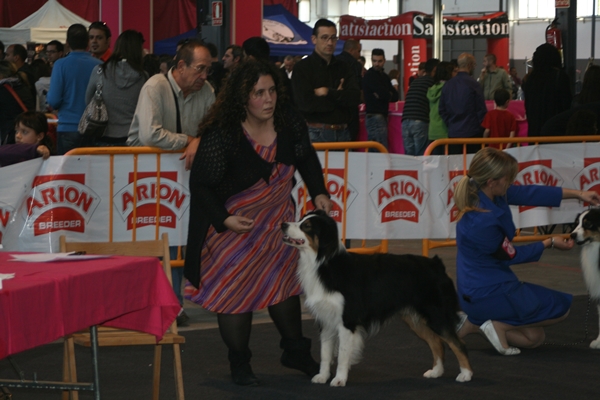 EXPOSITION