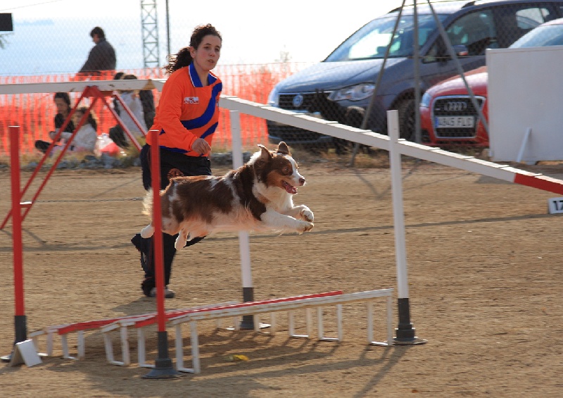 Agility